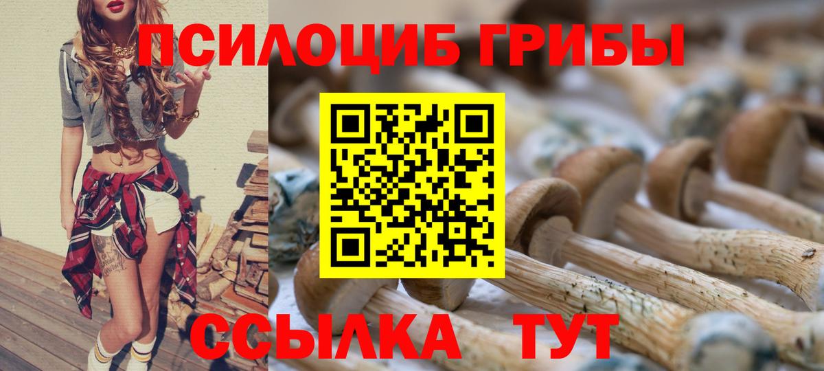 Псилоцибиновые грибы Cubensis  Вход с VPN  Норильск 
